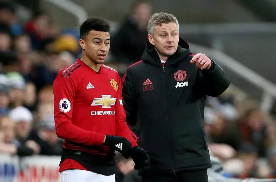 他能够快速 他能够快速